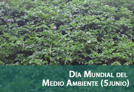 MAZ se une a la celebración del día Mundial del Medio Ambiente