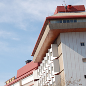 Proyecto Halcón Peregrino en Hospital MAZ Zaragoza