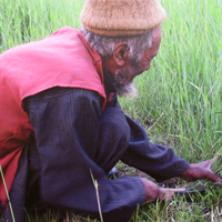 MAZ con el Proyecto Hushé